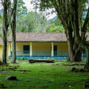 Charming colonial house amidst a verdant forest setting in Mérida, Venezuela.