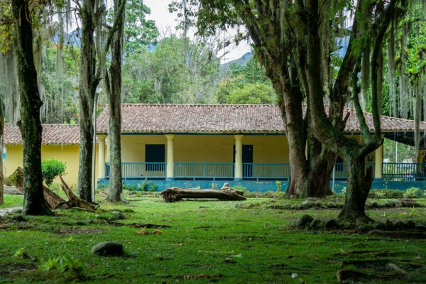 Charming colonial house amidst a verdant forest setting in Mérida, Venezuela.